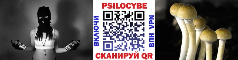 Купить где  Петрозаводск  Галлюциногенные грибы мицелий 